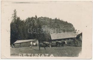 1936 Verespatak, Goldbach, Rosia Montana; Detonáta-hegy / Detunata Flocoasa / mountain, basalt columns. photo (EK)