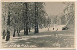 Sepsiszentgyörgy, Sfantu Gheorghe; síelők, téli sport / skiers, winter sport. photo (fl)