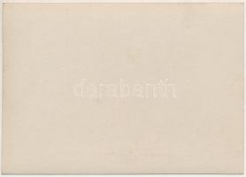 Felsővisó, Viseu de Sus (Máramaros, Maramures); Ruthenische Flüchtlinge / Rutén (ruszin) menekültek ...