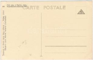 Zsilvölgy (Zsil-völgy), Schieltal, Valea Jiului; Taranca in drum spre targ calare / Bäuerin zum Mark...