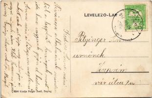 1914 Enying, Gróf Csekonics kastély. Polgár Jenő kiadása (EK)