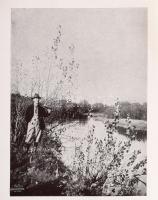 Zsindely Ferenc: Dunárul fúj a szél... Elbeszélések vadról, halról, fűről, fáról. Bp.,[1938.],Frankl...