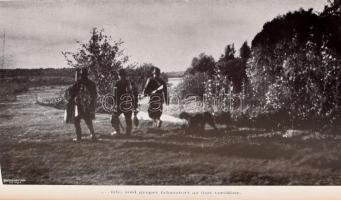 Zsindely Ferenc: Dunárul fúj a szél... Elbeszélések vadról, halról, fűről, fáról. Bp.,[1938.],Frankl...