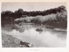 Zsindely Ferenc: Dunárul fúj a szél... Elbeszélések vadról, halról, fűről, fáról. Bp.,[1938.],Frankl...