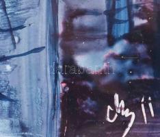 Mezős Béla (1949- ): Végső menedék. Akril, karton. Jelzett, igényes üvegezett keretben 18x28 cm (ker...