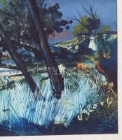 Mezős Béla (1949- ): Délután a parton. Akril, karton. Jelzett, igényes üvegezett keretben 18x28 cm h...