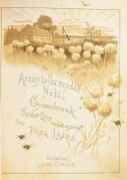 Pósa Lajos: Az aranytollu madár nótái. Gyermekversek. Elischer Lajos eredeti rajzaival. Bp., [1888.]...