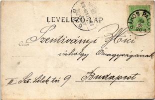 1908 Budapest XV. Rákospalota, családi photo (gyűrődés / crease)