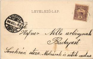 1900 Pomáz, Margitliget, Csobánka, Ottokár hadiárvaház. Divald Károly