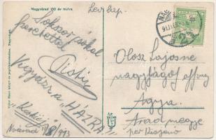 1913 Nagyvárad, Oradea; 100 év múlva. A jövőben montázs. Vidor Manó kiadása / in the future montage ...