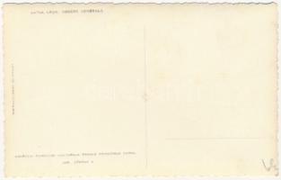 Les, Lesu; Vedere generala / látkép / general view