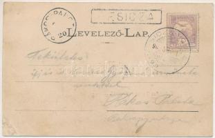 Hódmezővásárhely, Thj. város partfürdőjének vendéglője, árnyas kert, Rapcsák Péter vendéglős (ázott ...