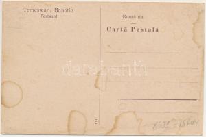 Temesvár, Timisoara; Festsaal / díszterem, belső / festival hall, interior (vágott / cut)