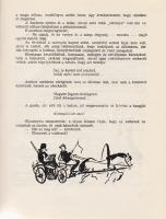 Visnya, Osztap:
Jó vadászatot! (Fordította Grigássy Éva.)
Budapest-Uzsgorod, 1964. Európa Könyvkia...