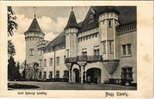 Nagykároly, Carei; Gróf Károlyi kastély. Csókás László kiadása / castle (EK)