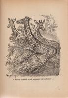 Donászy Ferenc:
Vadászkalandok vad tájakon. Haranghy Jenő rajzaival.
Donászy Ferenc (1858-1923) if...