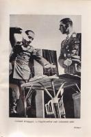 Forell, Fritz von:
Mölders. (Fordította Szentgyörgyi Ede.)
(Budapest), [1942]. Danubia Könyvkiadó ...