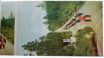 Pyongyang, Pjongjang; - 2 db Modern Észak-koreai képeslapfüzet 10 és 12 lappal (hiányos) / 2 modern ...