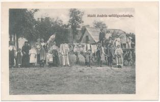 Torda, Turda; Mádli András szőlőgazdasága és saját kiadása / vineyard, grape farm