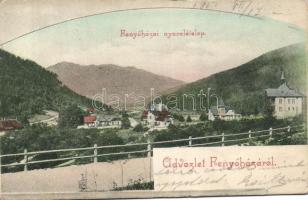 Fenyőháza villa area