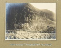 cca 1910 össz. 3 db erdélyi-bánsági fotó: Ménesvölgyi facsúsztató- és rakodó, Reuczi farakodó, hossz...