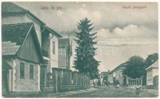 1929 Alsójára, Jára, Iara de Jos; Strada principala / Fő utca. Gavrila T. Popa kiadása / main street (fl)