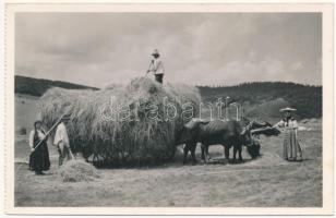 Magyarvista, Vista, Vistea; szénagyűjtés, erdélyi folklór. Lepage Lajos kiadása / Transylvanian folklore, collecting hay (fl)