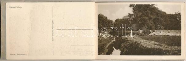 1925 Sopron, Emlék a soproni jubileumi iparkiállításról. Legszebb képek Sopronról és környékéről - k...