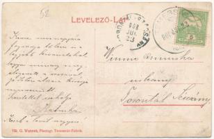 1908 Temesság, Saágh, Sag; Római katolikus templom és plébánia-lak. G. Wannek Photogr. / R. k. Kirch...