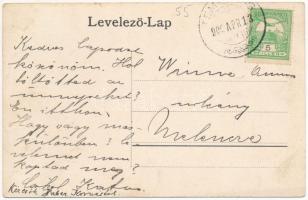 1909 Temesság, Saágh, Sag; Lung Mihály áruháza és üzlete / shop of Lung (EK)