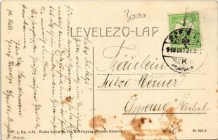 1913 Szentes, Kossuth tér, Központi takarékpénztár, üzletek. W.L. Bp. 4132. Eisler Lajos kiadása (fl...