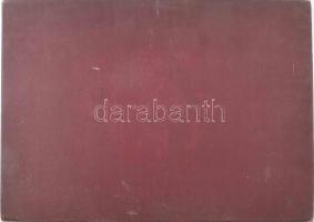 Konecsni György (1908-1970), Szabó Vladimír (1905-1991), Zádor István (1882-1963) stb.: Tanácsköztár...