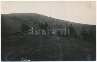 Nagylupsa, Wolfsdorf, Lupsa; látkép / general view. photo (ragasztónyom / glue marks)