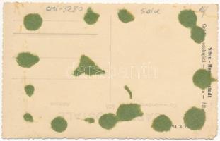 Nagyszeben, Hermannstadt, Sibiu; Gradina zoologica / Állatkert, pelikánok / zoo, pelicans. Fot. E. F...