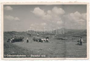 1942 Csíkszentdomokos, Sandominic; Garados tető, erdélyi folklór / Transylvanian folklore (EB)