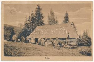 Szelistye, Salistea Sibiului, Saliste; Stana / Juhistálló, erdélyi folklór. I. Dadarlat kiadása / Transylvanian folklore, sheepfold (lyuk / pinhole)