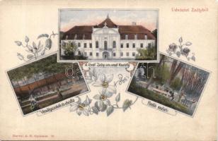 Zsély castle with spa club, guesthouse and cantine