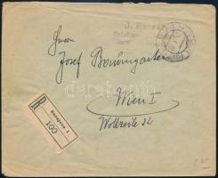 1919 jan. 19. Mi 5 + 2 magánfogazású Bosznia Hercegovina Hírlapbélyeg ajánlott levélen túlélő bélyeg...