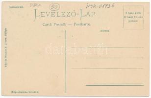 Szelistye, Salistea Sibiului, Saliste; Astupatura din Foltesti / gát. Nicolae N. Tintea kiadása / da...