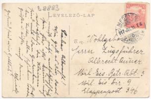 1917 Nagyszeben, Hermannstadt, Sibiu; Sächsische Bauernfamilie. Siebenbürgische Volkstypen-Karte Nr....