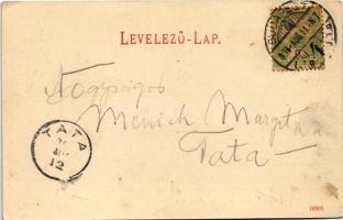 1904 Budapest XI. Kilátás a Gellérthegyi Kioszk teraszáról. Auer J. kiadás (EK)