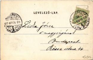 1902 Budapest VIII. Nemzeti Tornaegylet csarnoka, belső, tornacsarnok, tornaszerek, sport. Erdélyi c...