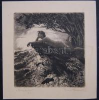 Franz Wimmer (1892-1974): Brandung, rézkarc-papír, szignált 25x26 cm