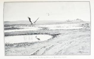 Szabolcs vármegye. Szerk.: Dr. Borovszky Samu. Magyarország vármegyéi és városai. Magyarország monog...