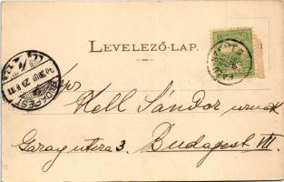 1903 Balatonszemes, Szemes; nyaralók. Balázsovich Gyula kiadása