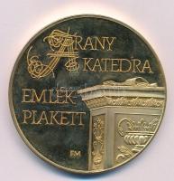 Fritz Mihály (1947-) DN Arany Katedra Emlékplakett aranyozott fém emlékérem (60mm) T:AU (eredetileg PP)