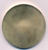 Fritz Mihály (1947-) DN "Arany Katedra Emlékplakett" aranyozott fém emlékérem (60mm) T:AU ...