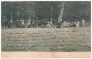 1904 Goszpics, Gospic; Tenis / teniszpálya / tennis court (fa)