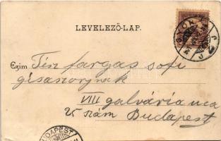 1901 Győr, Káptalan domb. Berecz Viktor kiadása (EK)