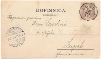 1900 Goszpics, Gospic; Art Nouveau, floral (fa)